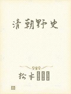 清朝野史封面