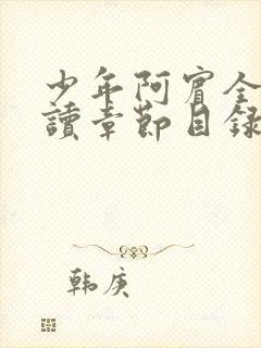 少年阿宾全文阅读章节目录