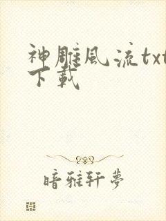 神雕风流txt下载