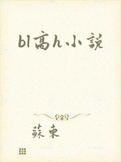 bl高h小说封面