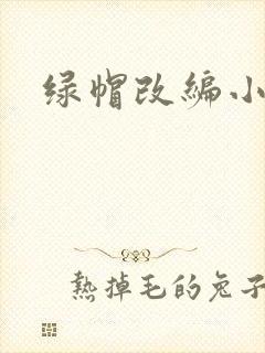 绿帽改编小说封面