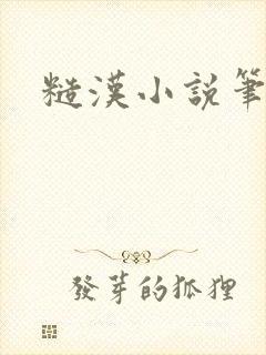 糙汉小说笔趣阁