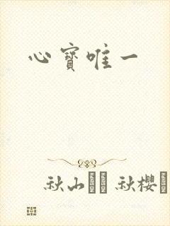 心宝唯一