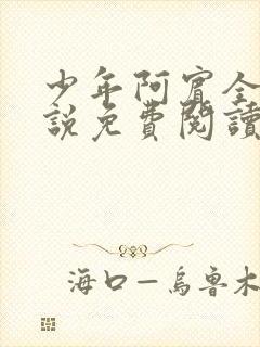 少年阿宾全文小说免费阅读笔趣阁封面