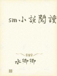 sm小说阅读