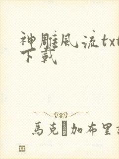 神雕风流txt下载