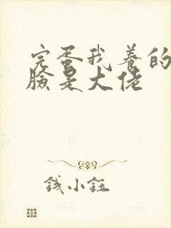 完蛋我养的小白脸是大佬