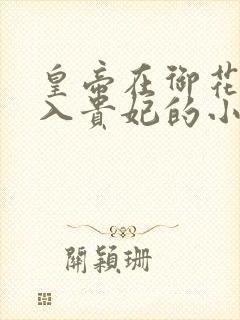 皇帝在御花园进入贵妃的小说