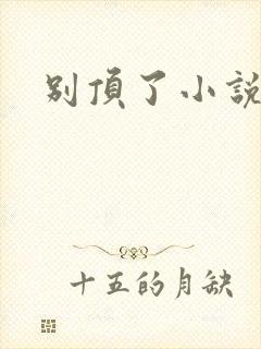 别顶了小说封面