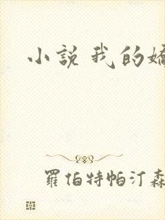 小说 我的娇妻封面