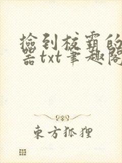 捡到校霸的遥控器txt笔趣阁封面