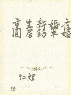 重生新婚夜正在圆房的军婚