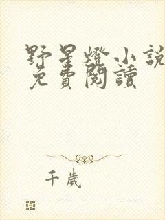 野星灯小说全文免费阅读