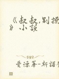 《叔叔,别撩我》小说