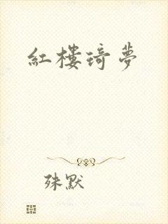 红楼琦梦