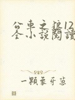 公车之狼12集全小说阅读