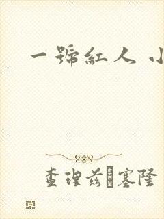 一号红人 小说