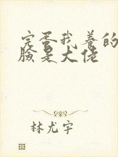 完蛋我养的小白脸是大佬