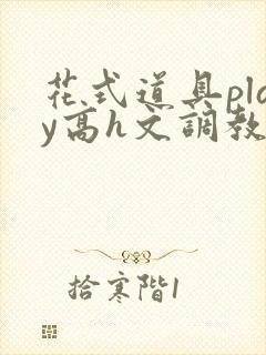 花式道具play高h文调教