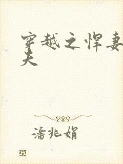 穿越之悍妻共三夫