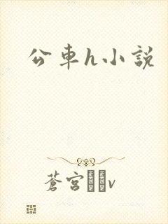 公车h小说封面