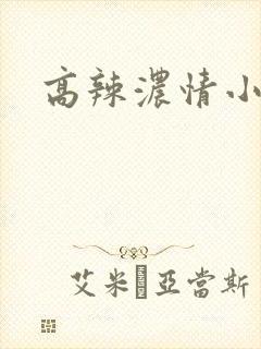 高辣浓情小说