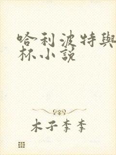 哈利波特与火焰杯小说