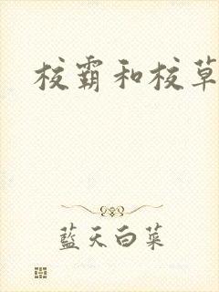 校霸和校草封面