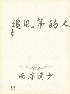 追风筝的人txt封面