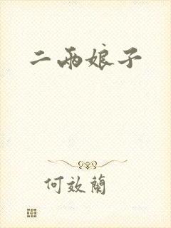 二两娘子封面