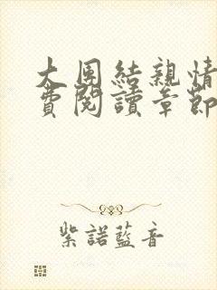 大团结亲情会免费阅读章节