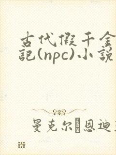 古代假千金挨日记(npc)小说