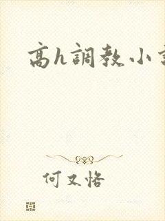 高h调教小说封面