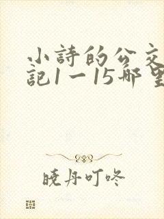 小诗的公交车日记1一15哪里能看封面