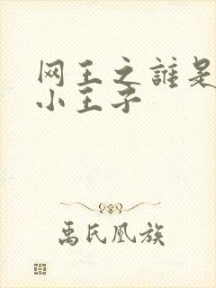 网王之谁是我的小王子