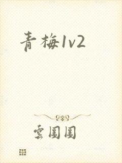 青梅1v2