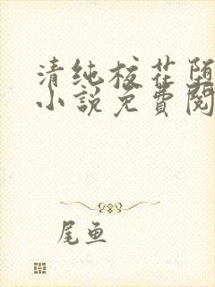 清纯校花堕落记小说免费阅读