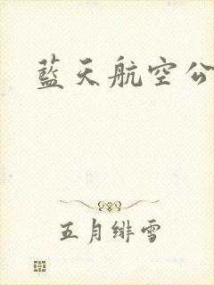 蓝天航空公司封面