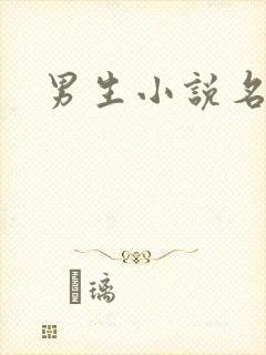 男生小说名字