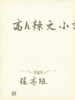 高h辣文小说封面