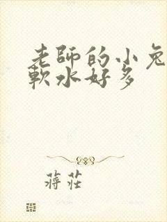 老师的小兔子好软水好多