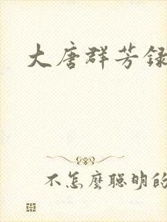 大唐群芳录封面
