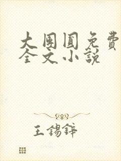 大团圆免费阅读全文小说封面