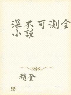 深不可测金银花小说封面