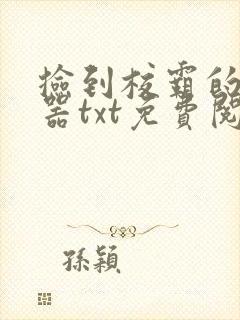 捡到校霸的遥控器txt免费阅读