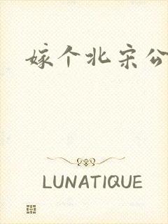 嫁个北宋公务员