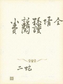 小说孙倩全文免费阅读