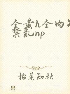 全黄h全肉短篇禁乱np封面