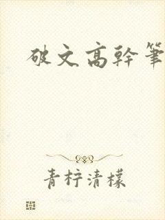 破文高干笔趣阁