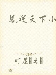 凤逆天下小说
